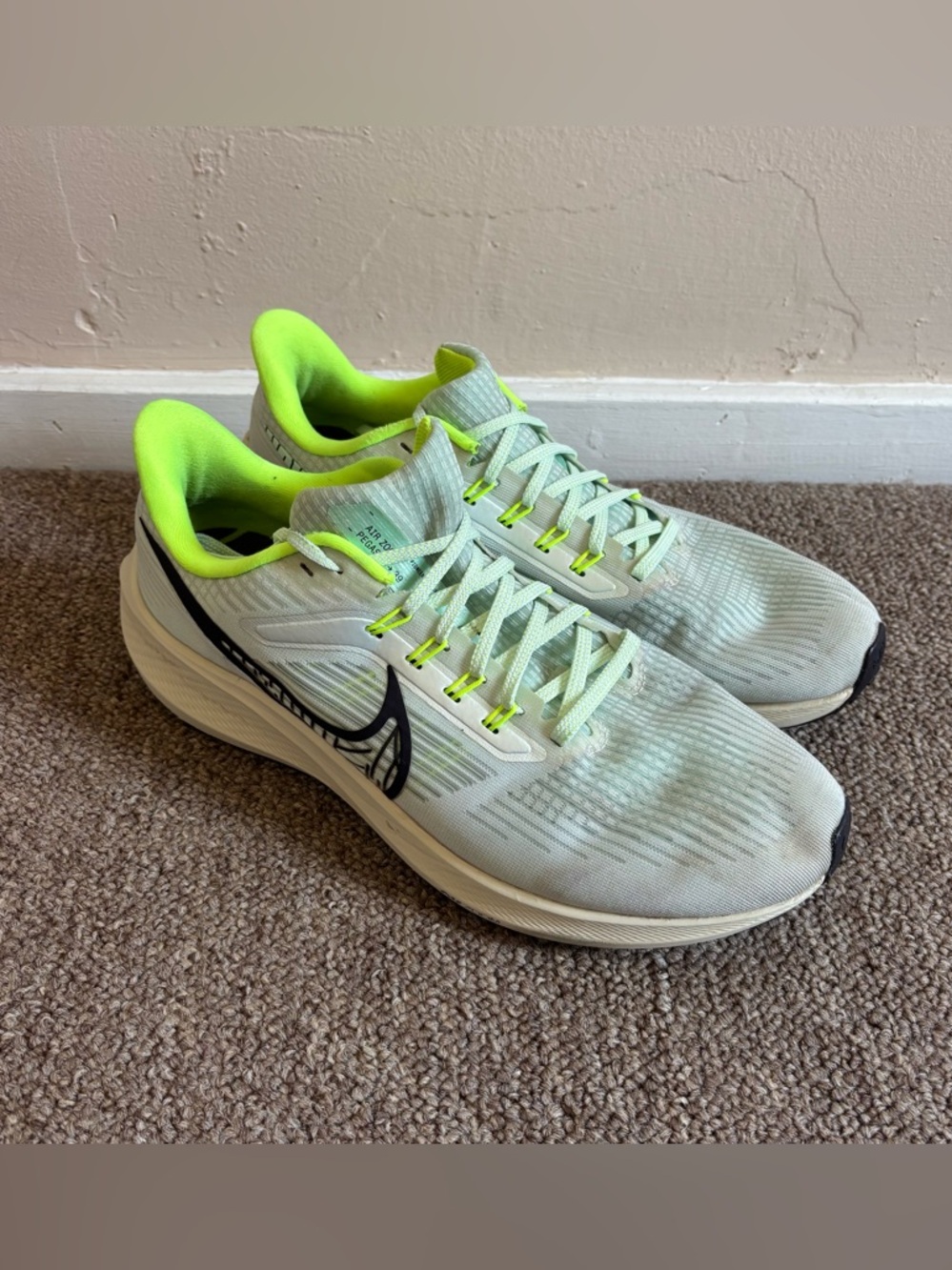 Nike Pegasus 39 Shoes Size 10